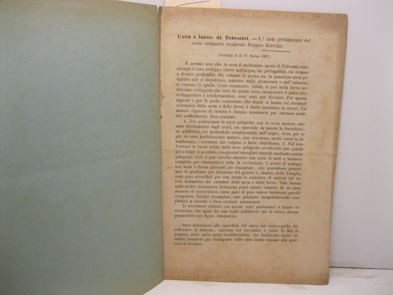 Uova e larve di Teleostei. 1° nota preliminare del socio ordinario residente Federico Raffaele (tornata il dì 27 marzo 1887)